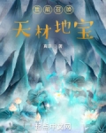 我能召唤天材地宝小说