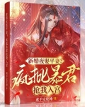新婚夜娶平妻？疯批暴君抢我入宫