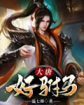 大唐好驸马 兰陵醉公子