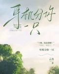 我的耳机