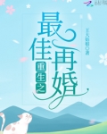 重生之最佳再婚 小说