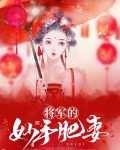 将军的妙手肥妻