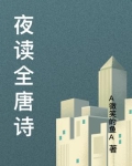 夜读全唐诗
