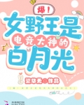 野王电竞免费阅读