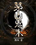 茅山鬼术师小说