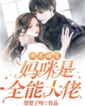 天才双宝妈咪是全能大佬小说