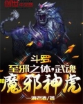 斗罗:至邪之体,武魂暗魔邪神虎小说免费下载八零