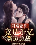 闪婚老公,竟是千亿霸道总裁 星河梦破