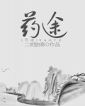 药途