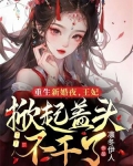 重生新婚之夜王妃电视剧