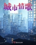城市情歌 杨慕