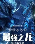 御兽时代的最强之龙百度百科