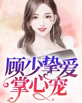 顾少挚爱掌心宠全文阅读