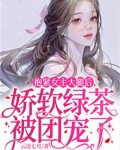 抱紧女主大腿后,娇软绿茶被团宠了