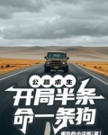 公路求生，开局半条命一条狗
