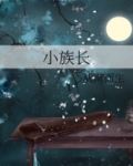 小族长从南而生免费