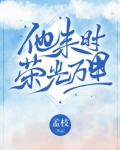 他来时荣光万里好看吗
