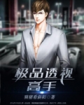 极品透视高手 小说