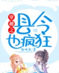 穿越之县令也疯狂电视剧