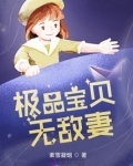 极品宝贝无敌妻