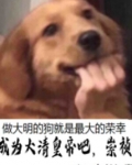 成为大清皇帝吧，崇祯！