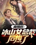 离婚后:冰山女总裁后悔了