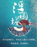 浮图塔免费阅读全文