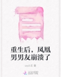 重生凤凰男的前妻