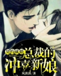 契约成婚：总裁的冲喜新娘