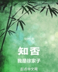 知否我是徐家子免费阅读