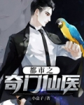 都市之奇门仙医