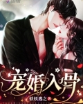 宠婚入骨