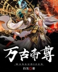 万古帝婿免费阅读