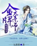 驭灵传奇金牌元素师,类似的小说