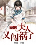 司少,夫人又闯祸了