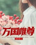万国v5价格
