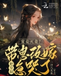 宠妾灭妻无防盗