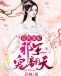 双世宠妃：邪王宠翻天