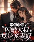 一夜锁情:闪婚大叔竟是宠妻奴