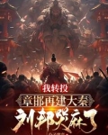 被刘邦驱赶后，我重建大秦