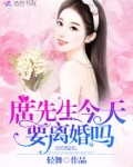 席先生今天要离婚吗