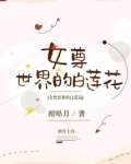 女尊世界的白莲花笔趣阁