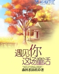 歌词……遇见你
