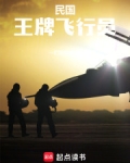 民国:王牌飞行员小说