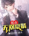 都市超凡豪婿