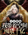 天灾降临:我带着空间囤货十亿