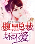 腹黑总裁坏坏爱