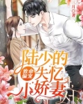 致命偏宠：陆总的失忆小甜妻