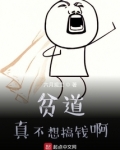 贫道真不想搞钱呐