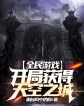 全民游戏之开局获得天空之城 来自风中的你